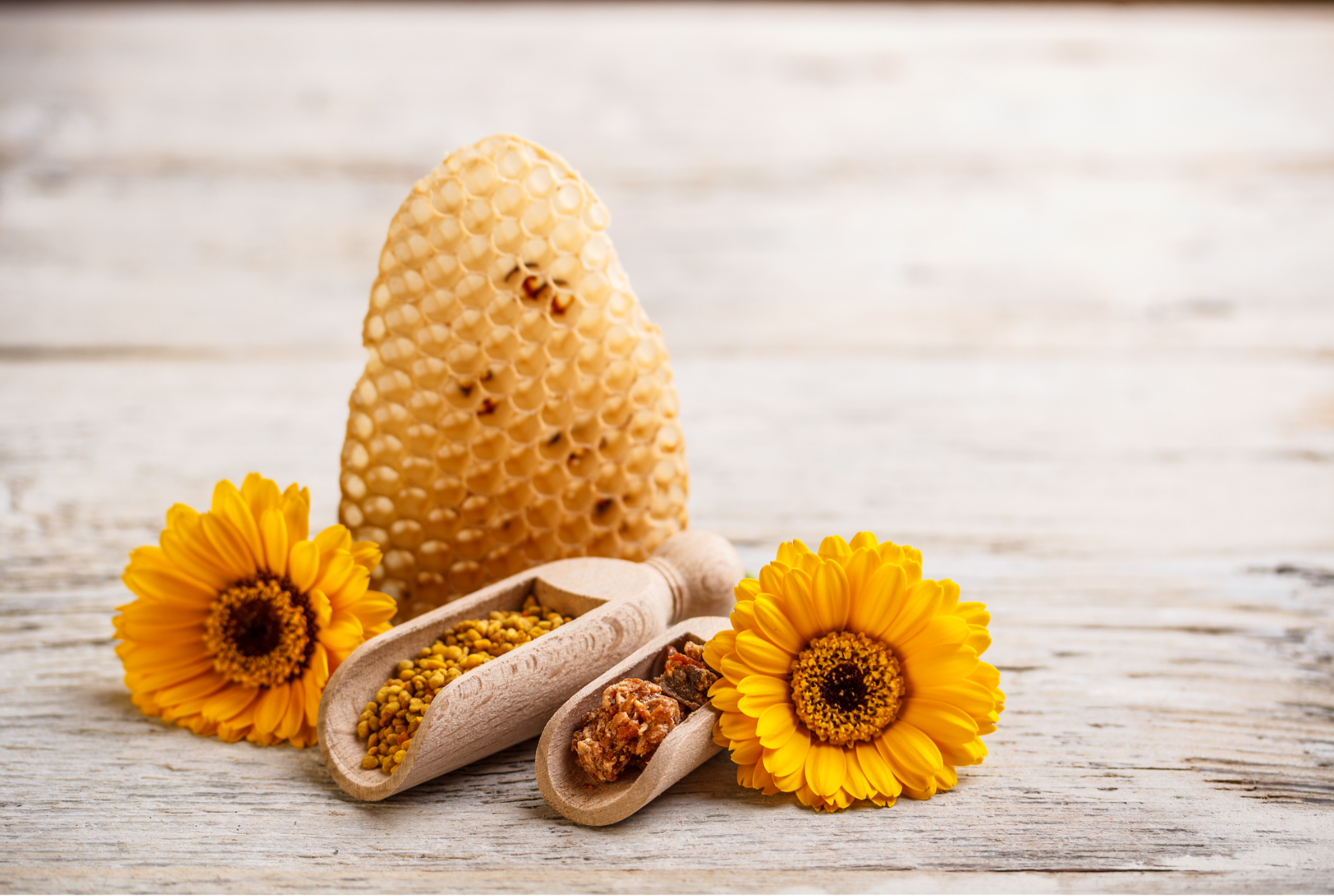Health Tips : dopez votre automne avec le pollen